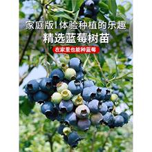 {ݮ玧{ݮԘ箔YشͥԺ̨{ݮ