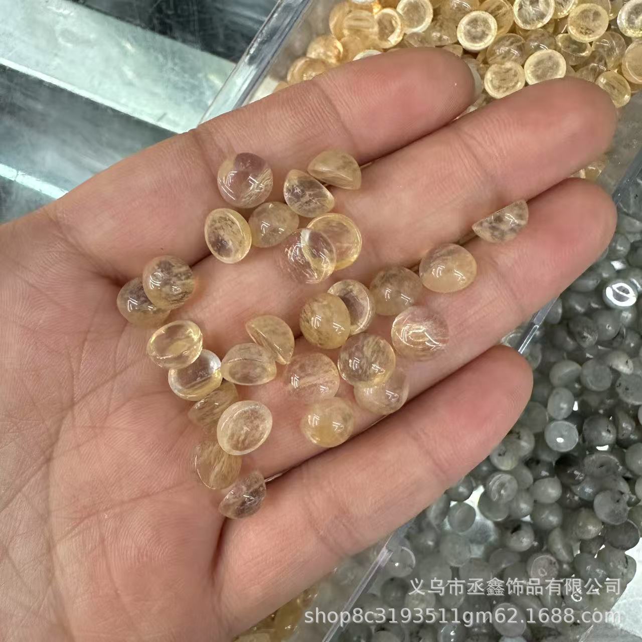 微信图片_202504050914411