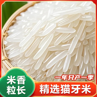 �L�������������׶i��؈���׽z���״���ܛŴ�F�l�Fĥ�׺ó�С���b