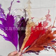 �S��ֱ���¿ɫ�Zë�^��b�Y���b������̨������ë�l��^��