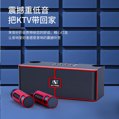 源工場製 室内カラオケスピーカー 20W デュアルスピーカー デュアルマイク搭載 カラオケセット カラオケ一体機