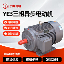 YE3�����첽�綯��0.75kw-315kw������Ч380Vȫͭ����������