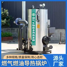 蒸汽发生器;特种锅炉;燃气锅炉