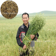 ؈�ݷN�� �����N�� ݯ����������ȸ��Ұ���N���ͺ��ͺ����ݷN��