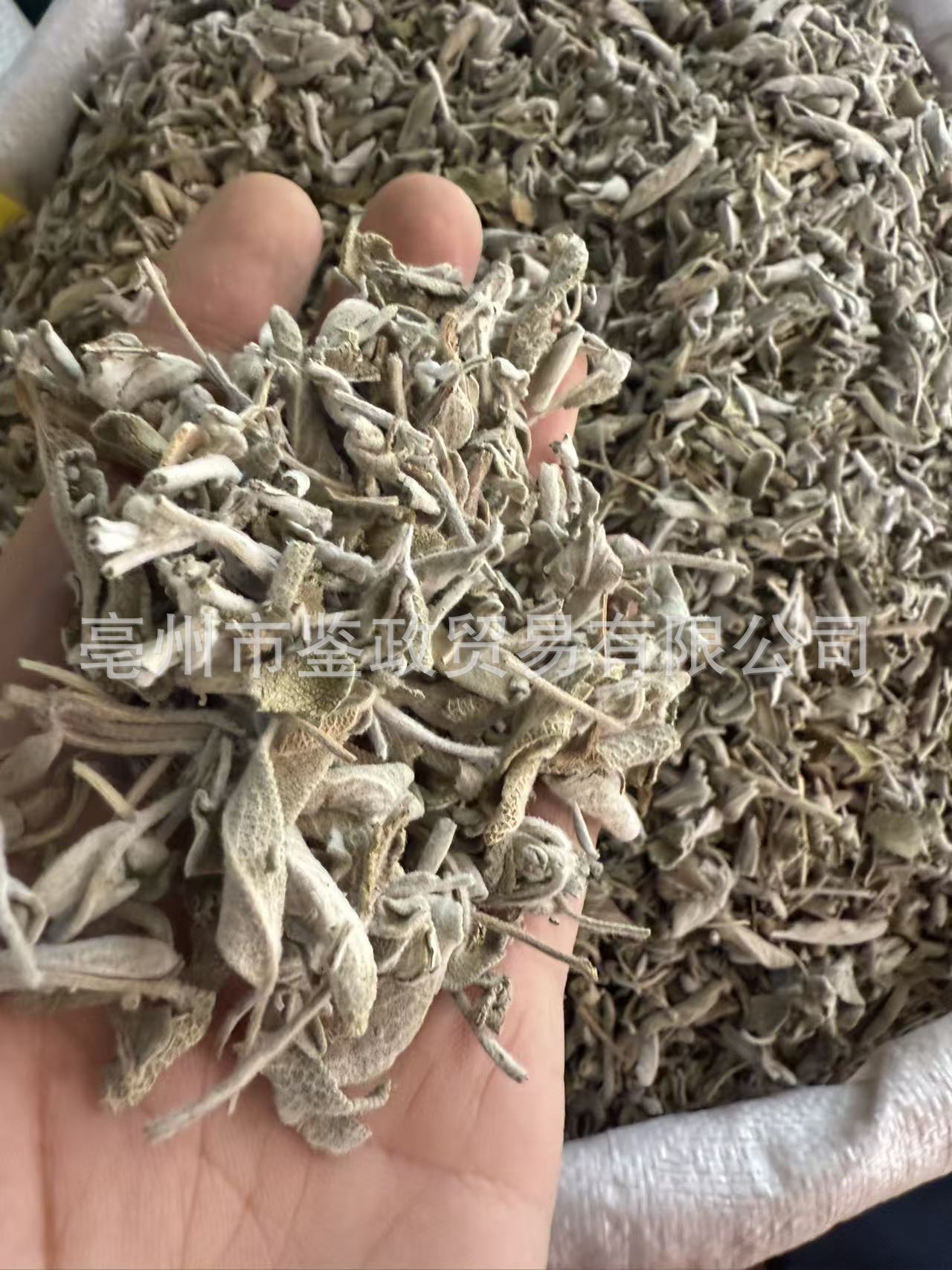 Dried Sage Leaves 500g Salvia officinalis Culinary Herb for Western Cooking and Herbal Tea key features