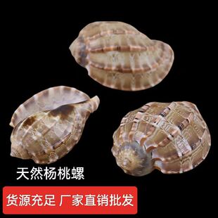 ��̖������5-12������Ȼؐ�������~���쾰ˮƿ�������ﺣ����ؐ