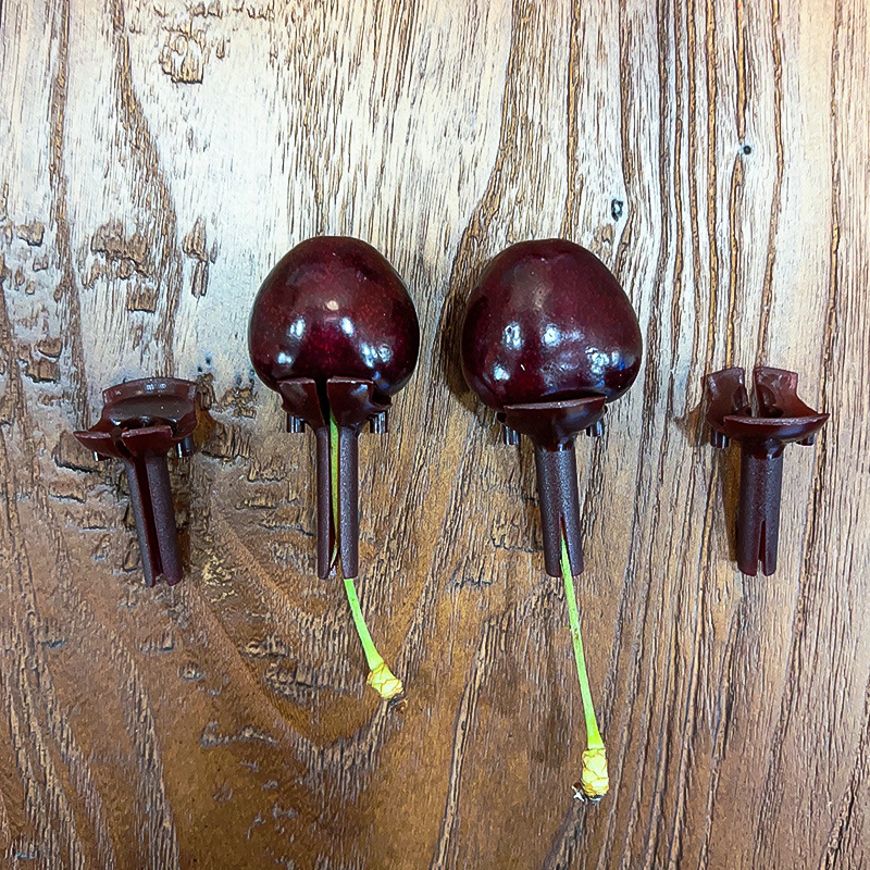 Soporte fijo para cerezas, paquete de materiales para ramo de frutas, ramo de floristería, brocheta de bambú semiterminada, materiales para flores de regalo al por mayor