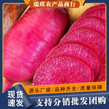 紫美人水果萝卜甜脆水果型青红皮凤梨沙地潍坊心里美萝卜新鲜包邮