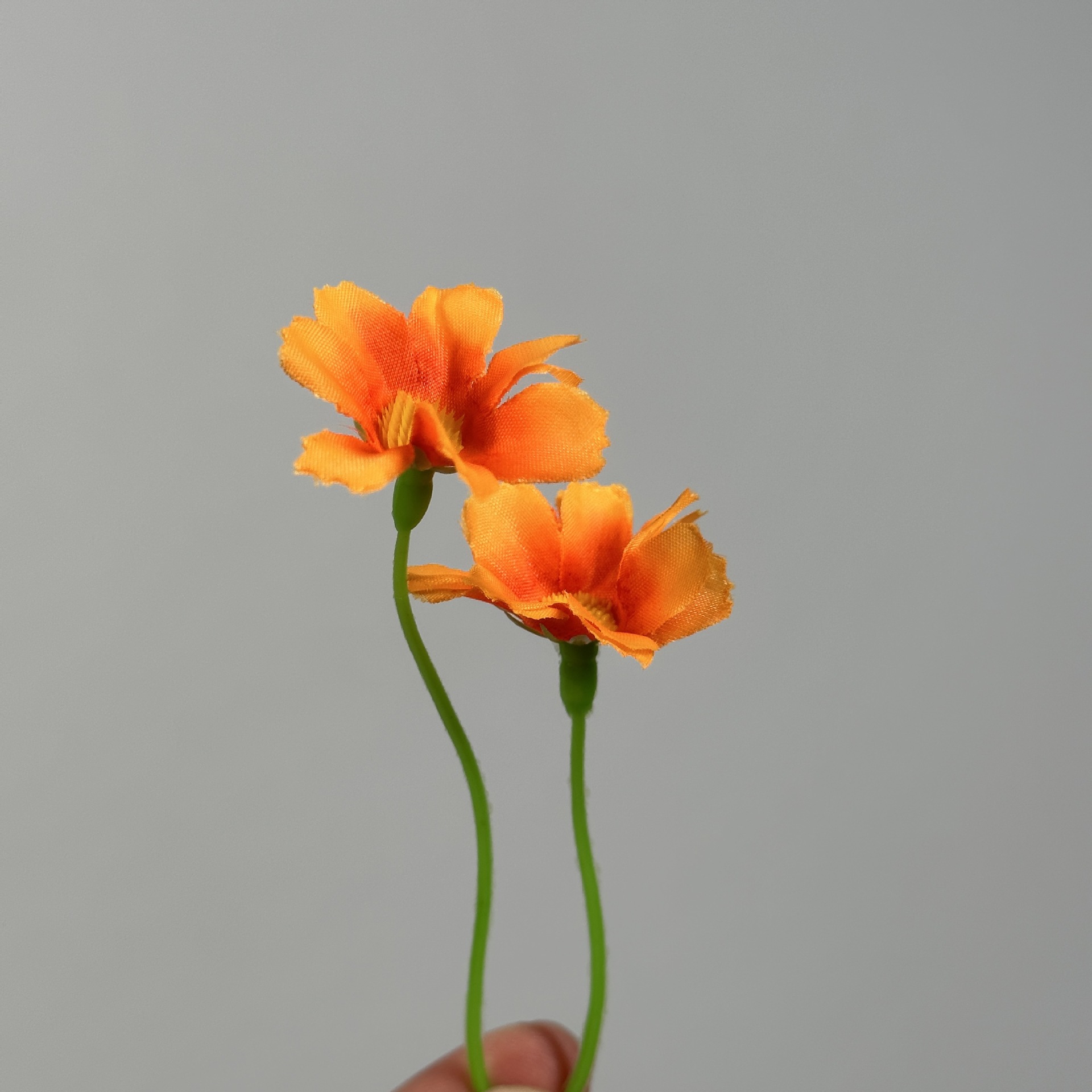 c9652c30de10a70880a5d3498734dc