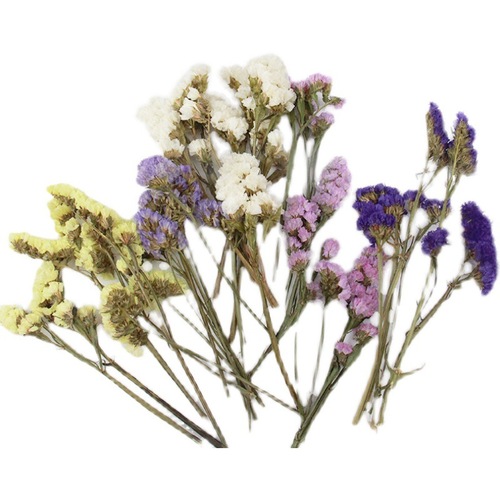 Lover's Grass Never Forget Me DIY Aromatherapy Candle Dry Flower Materials Aromatherapy Wax Sheet Everlasting Dry Flowers Photo Frame Loose Flower Materials