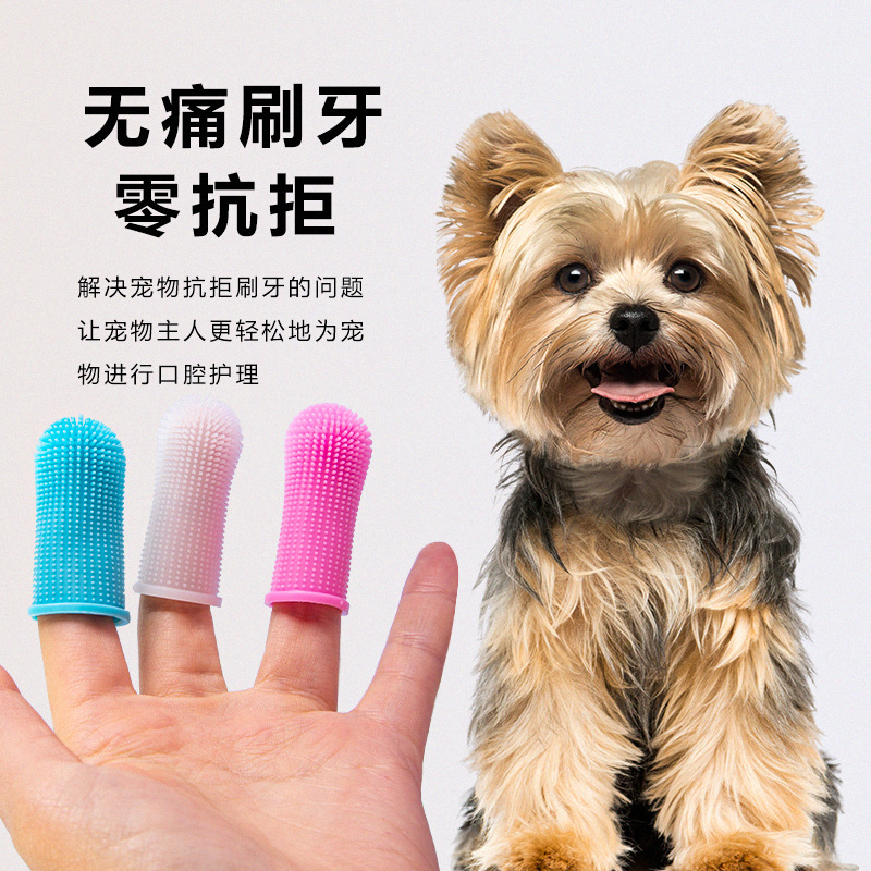 宠物用品猫咪狗狗刷牙指套牙刷口腔清洁 宠物洁牙专用清洁用品 彩