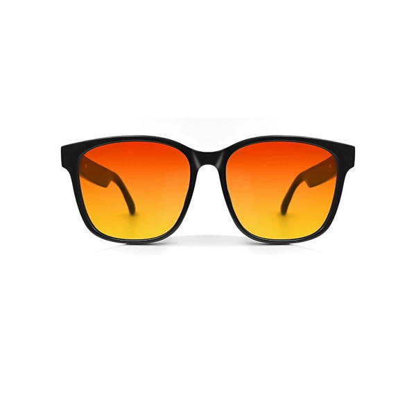 GS08 polarizer