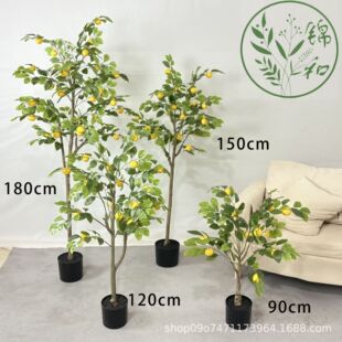 ��ж�����ֲ��ʘ�پGֲ���l���ԾW�t�҃��b͏d�[����ֲ��