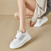 2026�����¿������߰�Ь�\�����e�ٴ�ŮЬ��Ь�Ӽӽq��ƤС��Ь