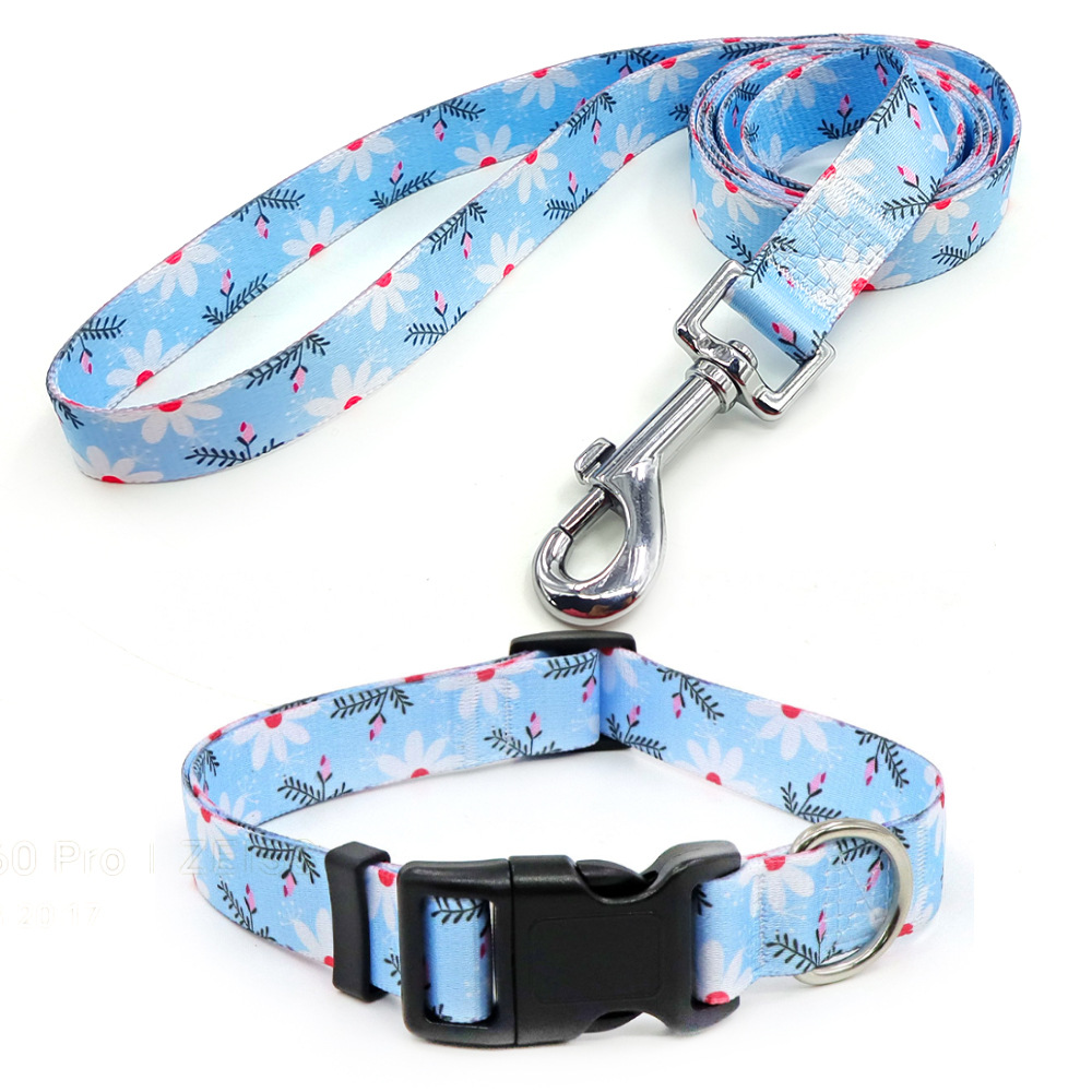 Amazon al por mayor collar de mascota corda de tracción al aire libre paseo perro collar perro collar en el viento