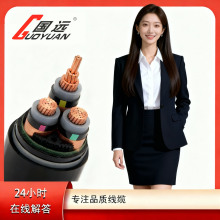 YJV/YJV22 0.6/1KV~о |4 5о10300ƽ͉|