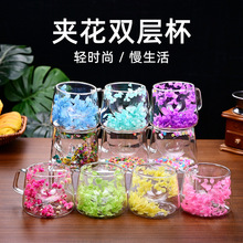 新款跨境高颜值家用玻璃杯干花高硼硅双层咖啡杯耐高温杯子日用品