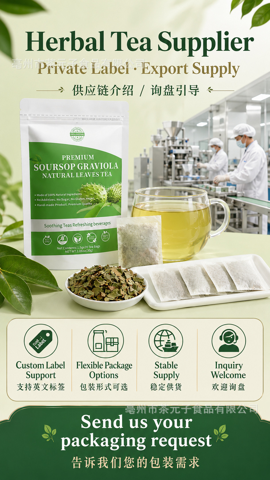 Soursop Graviola Leaves Tea 20 Tea Bags Dried Soursop Leaf Herbal Infusion 30g in use