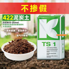 中小型植物通用Klasmann德国进口K422兰花多肉育苗营养土园艺土