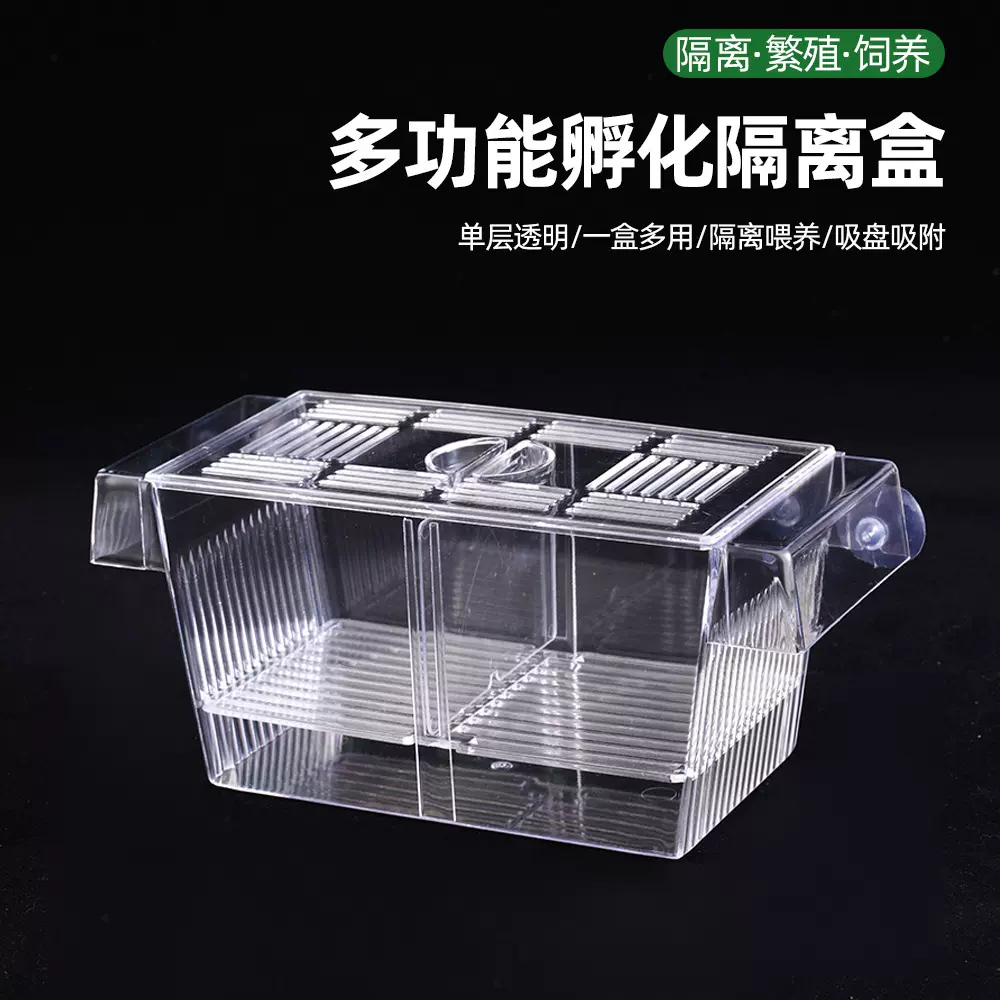 25年新款孵化盒家用鱼缸强力吸盘加厚PP透明大小鱼繁殖盒隔离盒