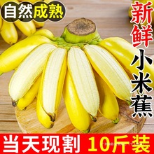 ���ڏV��С�׽��㽶10�����rˮ�����䮔���r�O������Ȼ��۽����]