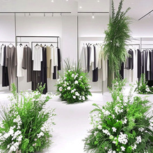 �쾰��ˇɭϵ���b��������滨�Gֲ�����b�Y���üٻ���c����