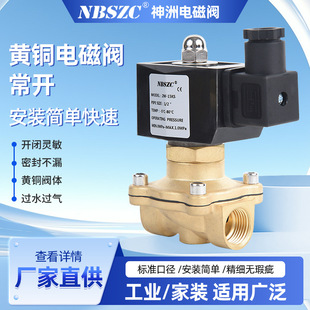 NBSZC 늴��y ˮ�y ���y ���y ���~ 2W160-15K AC220V ���_