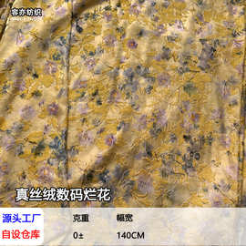 真丝绒数码烂花面料马凯同款布料新款花型连衣裙服装新中式用布