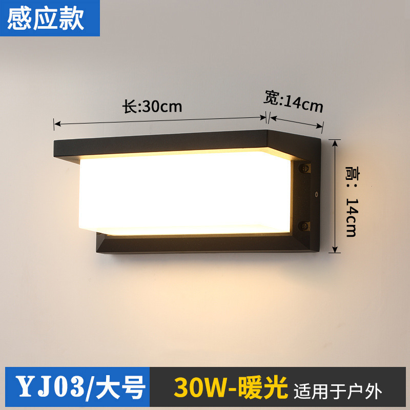 YJ03 방수 벽 램프-30W-유도