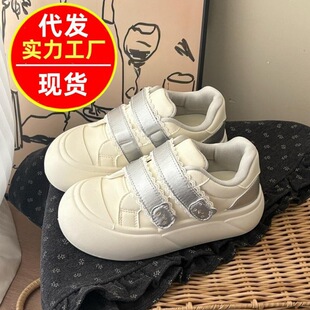 2026�괺�＾�¿�ٴ�ħ�g�N���С��Ь���e�W���ɐ۳���Ů�\��Ь