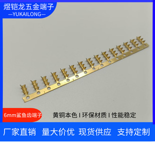6mm�S�~�X�Ͷ�����β�������~�X�����A���ۙM��