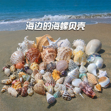 ��Ȼ��ؐ��С���ݴ����~���쾰�bĲ�4-10���׼ľ�з�Ú����l