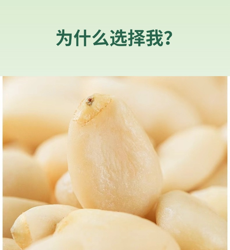 Pine Nut Kernels Song Zi Ren Shelled Raw or Roasted Nuts 500g Northeast China key features