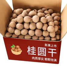 福建桂圆干今年新货大果龙眼干核小肉多壳薄桂圆干货净重款袋装