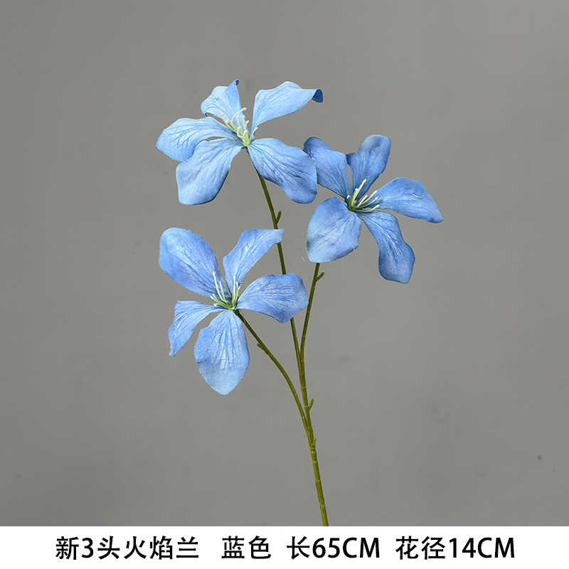 새로운 3등 불꽃 난초 블루