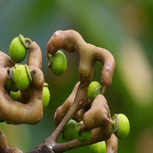 �՗�������՗��������f�۹����uצ���B���Ե��Խ��h�殔��Y����