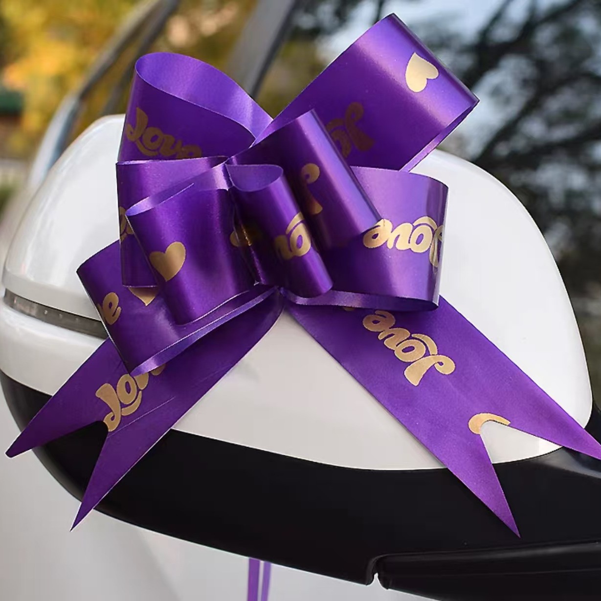 2026 festivales arco de plástico mano de dibujo flores de bodas del Festival de Primavera regalos de fiesta de cumpleaños decoración interior dibujo flores