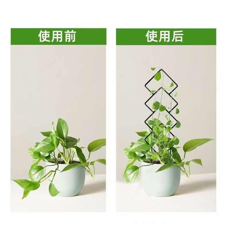 Planta de maceta al aire libre soporte de escalada de plantas Geometría luna de escalada de vinos soporte de soporte floral hierro negro forjado pastoral image 4