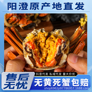 �r����lзꖳι��Sֱ�lȫ�����̼�����I��������YƷƽ̨���l