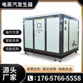 燃气锅炉;蒸汽发生器;燃生物质锅炉