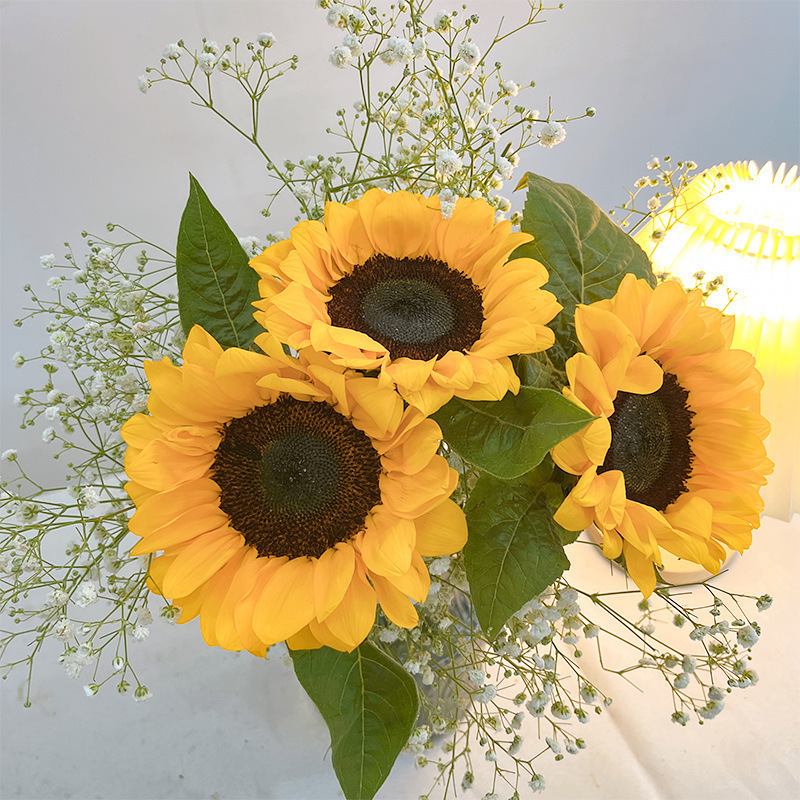 玫瑰花鲜花云南昆地批直发百合向日葵红豆家用鲜切水养插绢花|undefined
