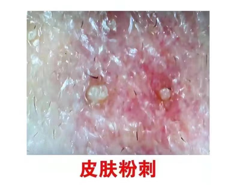 微信图片_20230904115731
