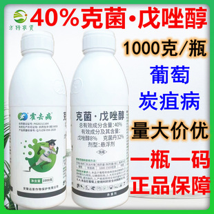 ��ȥ�� 40%�˾����� �˾��������� ����̿�Ҳ��rș������1000��