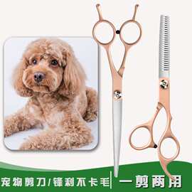 宠物美容剪刀狗狗剪毛神器工具套装泰迪专业修毛狗毛弯剪牙剪直剪