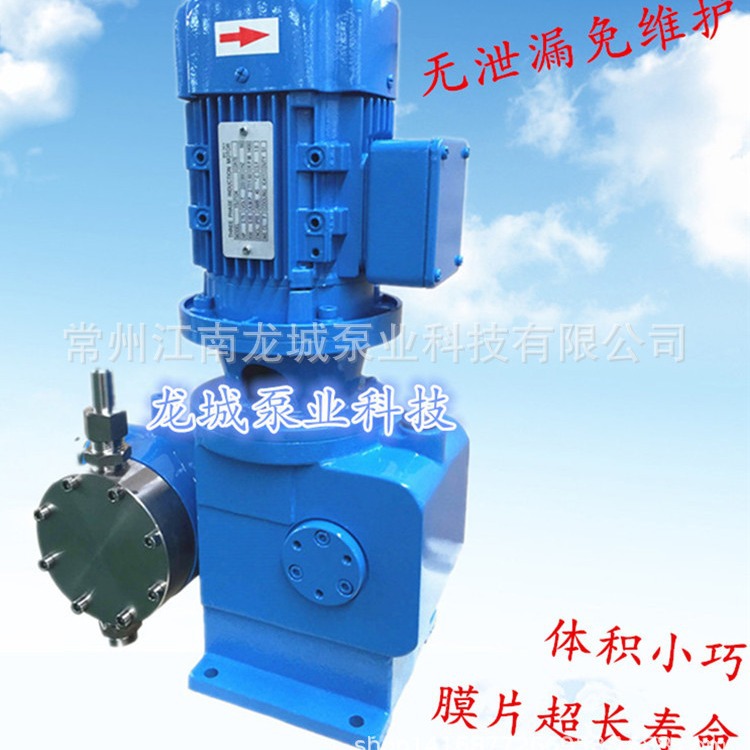 液体秤计量泵氨水联氨计量泵缓释剂加药泵JYM-50/2.5 567-S-N3