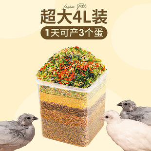 �J���u�a������g���R���u���üZ�J���u�Zʳ�a�����r�Ό������