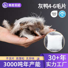 灰鸭毛4-6毛片绒片2-4羽绒座包沙发抱枕靠背枕原料填充物出口专用
