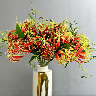 ���滨 �ָл���ٺ� ���m���W�Ҿ�ܛ�b���̾Ƶ��c�[�������ٻ�