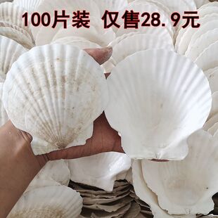 100Ƭ�b������ɫ����ؐ�����l����ؐ�����İ뚤��ؐ�����ط۽z