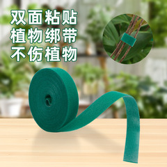 園芸用緑の植物、蔓、花を結束する粘着包帯、植物用ベルクロタイ、つる性植物用の厚い枝固定具